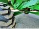 Комбайн John Deere 1188 (1996)