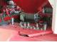 Посівний комплекс Pottinger Terrasem c6 fertilizer (2017)