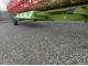 Жатка зернова Claas V900