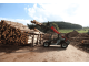 Навантажувач Weidemann T5522 (2025)