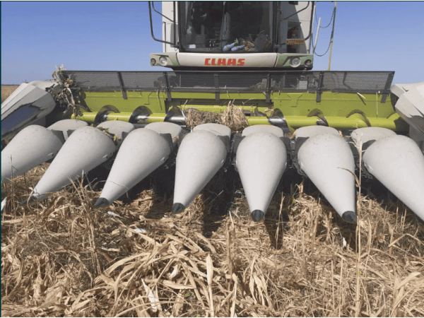 Жатка кукурудзяна Claas Conspeed 8-70 (2015)