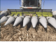 Жатка кукурудзяна Claas Conspeed 8-70 (2015)