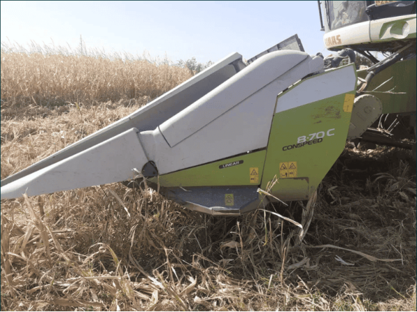 Жатка кукурудзяна Claas Conspeed 8-70 (2015)