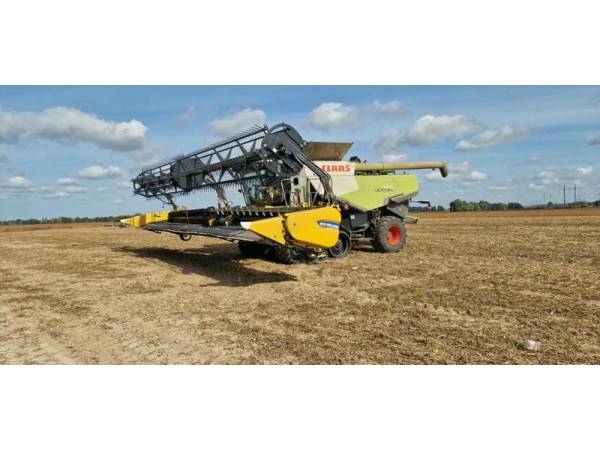 Жатка зернова стрічкова New Holland 880CF-40 Superflex  (2018)