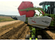 Жатка Claas Maxflex 1200 (2015)