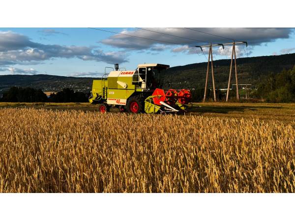 Комбайн Claas Dominator 48 Speсial (2003)