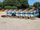 Плуг оборотный  Lemken Juwel 8 6+1 N 90 (2013)
