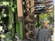 Посівний комплекс Amazone Сirrus 6001 active (2009)