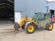 Телескопічний навантажувач Dieci Agri Farmer 30.7 (2013)