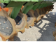 Дисковая борона Amazone Catros+ 3001 (2022)