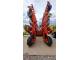 Дисковая борона Vaderstad Carrier 650 (2013)