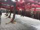 Культиватор Vaderstad TopDown 400 (2008)
