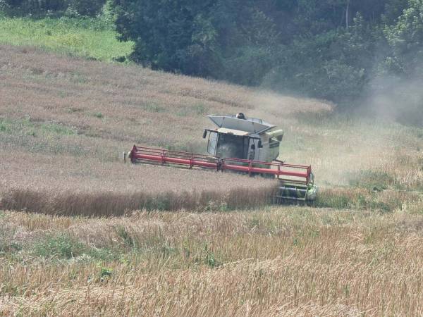 Комбайн Claas Lexion 770 (2013)