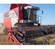 Комбайн Massey Ferguson 7278 Cerea