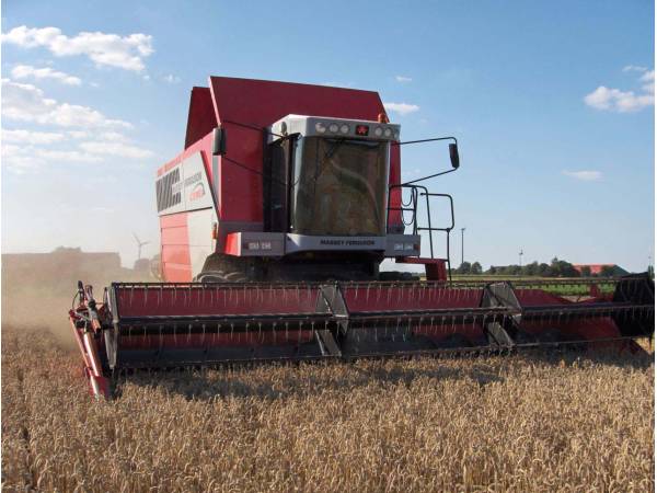 Комбайн Massey Ferguson 7278 Cerea (2004)