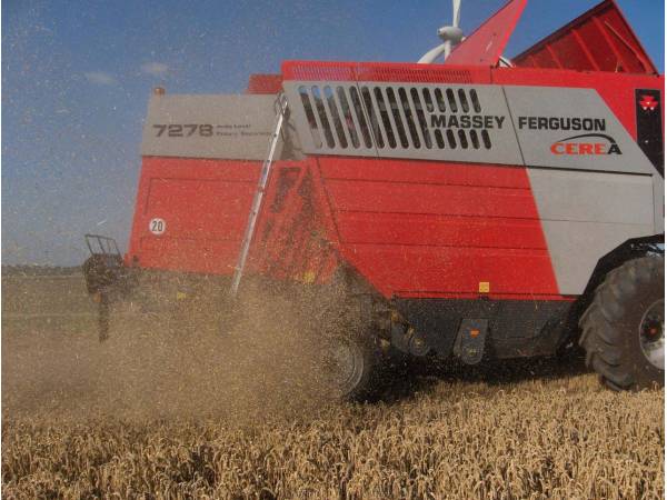 Комбайн Massey Ferguson 7278 Cerea (2004)