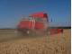 Комбайн Massey Ferguson 7278 Cerea (2004)