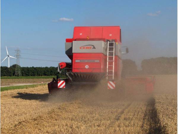 Комбайн Massey Ferguson 7278 Cerea (2004)