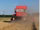 Комбайн Massey Ferguson 7278 Cerea (2004)