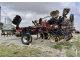 Глибокорозпушувач CASE IH ECOLO-TIGER 875 (2016)
