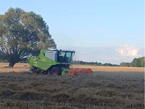 Комбайн Claas Avero 240 (2017)