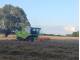 Комбайн Claas Avero 240 (2017)