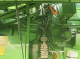 Комбайн John Deere 2066 (1997)