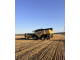 Комбайн New Holland CX 8.80 (2012)