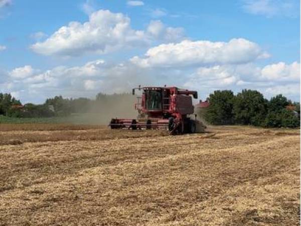 Комбайн Case IH 2366 (1999)