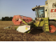 Комбайн Claas Lexion 440 (1998)