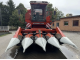Кукурузоуборочный комбайн Bourgoin JLD 410 P (2002)