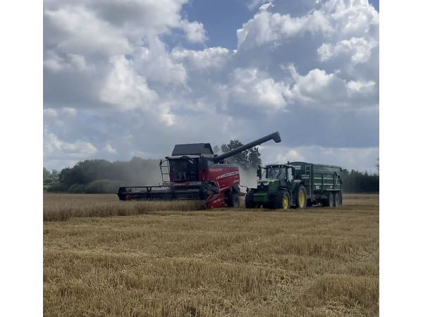 Комбайн Massey Ferguson 7345 Activa (2016)