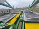 Сівалка John Deere 7200
