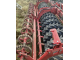 Культиватор Horsch Tiger 4 MT (2021)