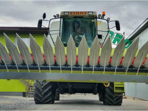 Жатка Claas Sunspeed 12-70 Original  (2019)