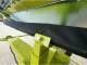 Жатка Claas Sunspeed 12-70 Original (2020)