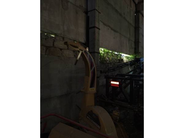 Измельчитель древесины Wallenstain BX102R YE (2014)