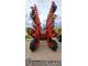 Дисковая борона Vaderstad Carrier 650 (2013)