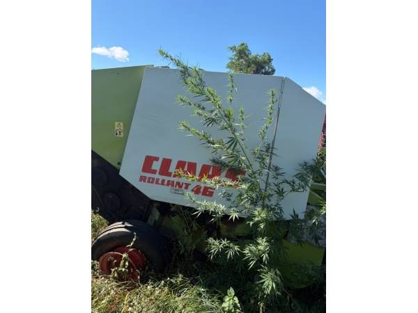 Пресс-подборщик Claas Rollant 46