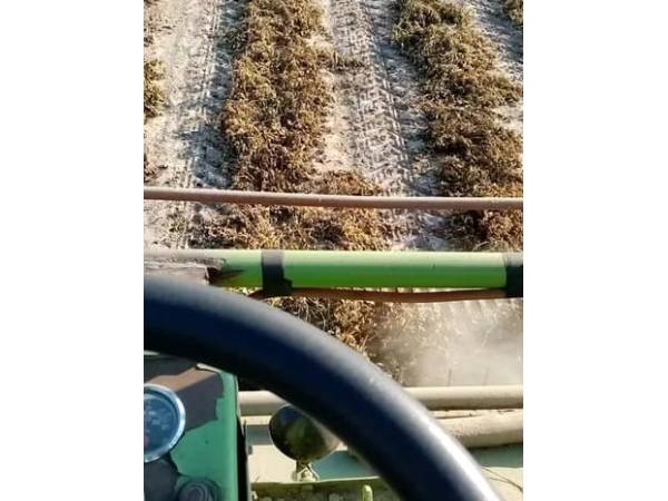 Горохозбиральний комбайн Claas Mercur