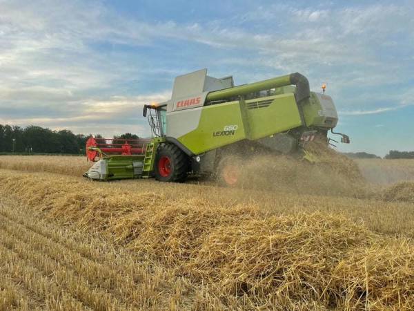 Комбайн Claas Lexion 650 (2017)