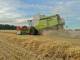 Комбайн Claas Lexion 650 (2017)
