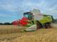 Комбайн Claas Lexion 650 (2017)