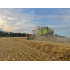 Комбайн Claas Lexion 650 (2017)