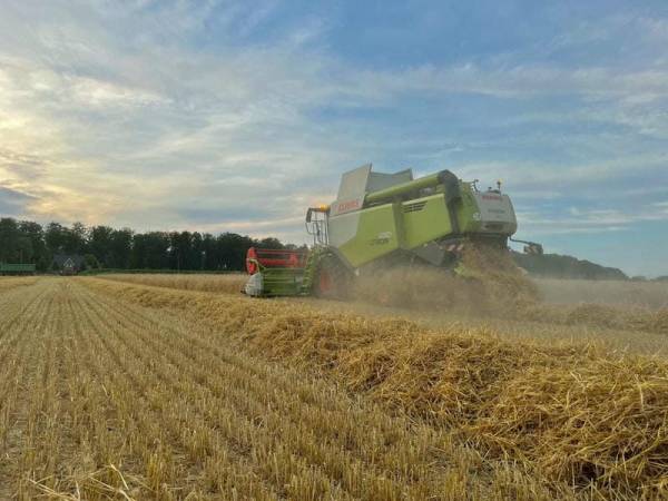Комбайн Claas Lexion 650 (2017)