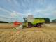 Комбайн Claas Lexion 650 (2017)