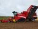 Свеклоуборочный комбайн Grimme Maxtron 620 (2013)