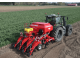 Сівалка пропашна анкерна Agro - Osek Pszczola U026/2 (2024)