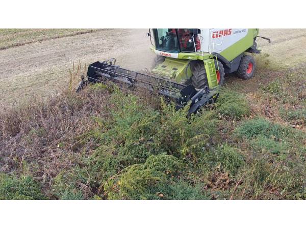 Жниварка соєва Dominoni Topflex TF610 (2025)