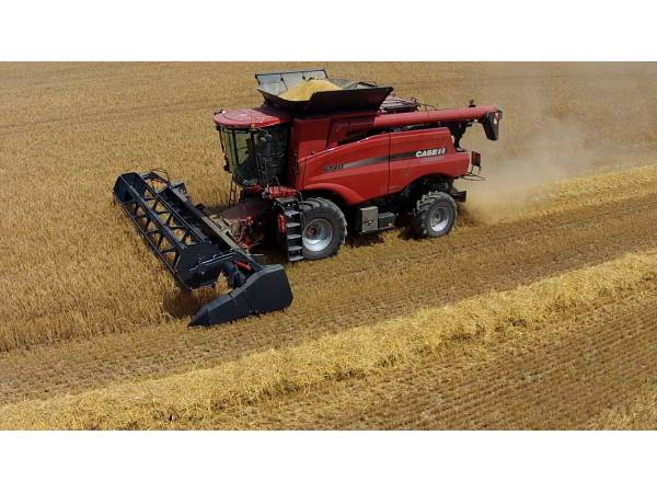 Жниварка соєва Dominoni Topflex TF950 (2025)